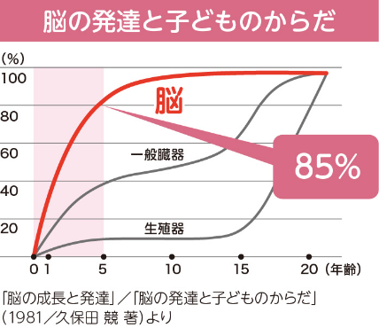 脳の発達とこどものからだ